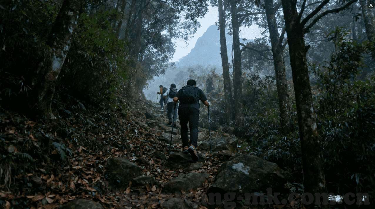 ky开元集团99ky下载-探索KY开元集团99KY下，创新科技引领企业数字化转型与行业革新